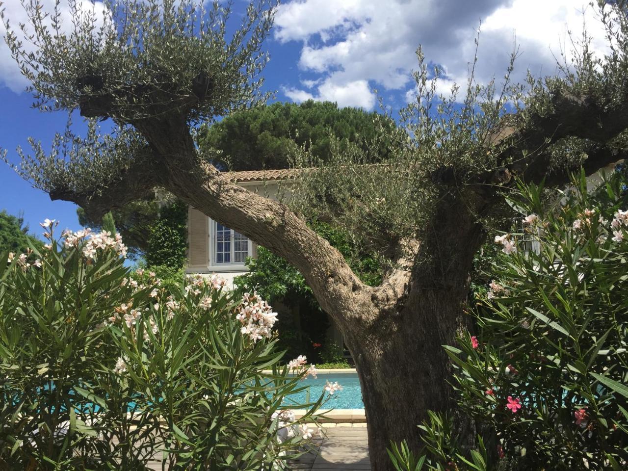 Villa La Begude - Boutique Luxury B&B Σαιν-Τροπέ Εξωτερικό φωτογραφία